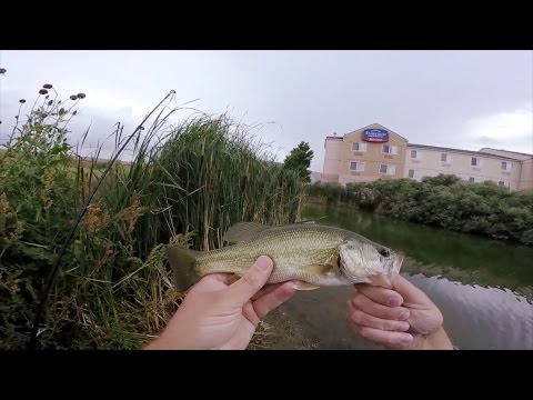 GoPro: Justin Wallick - Best Catch 7.15.15 - Fish