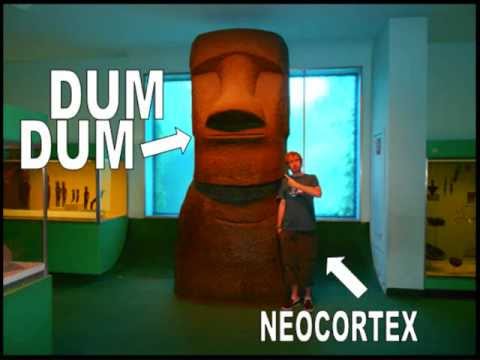 Neocortex - Dum Dum! [TERROR/BREAKCORE]