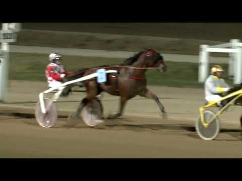 2019.11.16. 06. futam - MÉNESEK DÍJA (NÜL-X.)