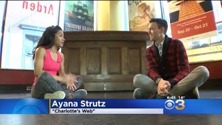 CBS Philly News Segment- Charlotte's Web