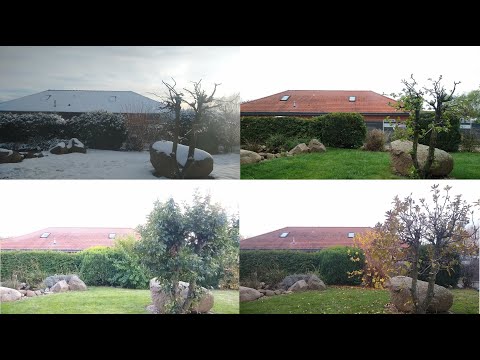 Mein Garten im Zeitraffer von 1. Jahr - Garten Zeitraffer Video / Time Lapse Video