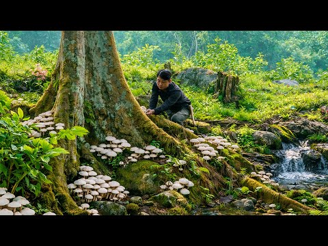 Mind Blowing Benefits of Using Wild Ingredients in Your Daily Meals