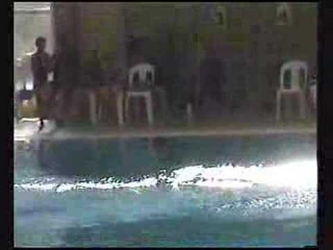 All Schools Diving Championships 2007 - Springboard Comp