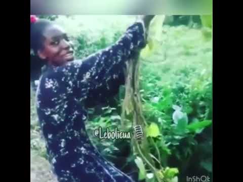 Lebolicua "La sierva y el teleferico" | Videos Divertidos