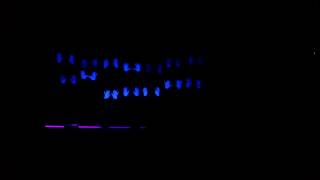 Teatro en la Oscuridad -Juan David