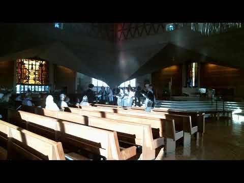 Tactus SF: Victoria - Kyrie (Missa Ascendens Christus)