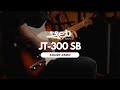 Jet Guitars JT-300 Guitare Électrique Blue thumbnail 8