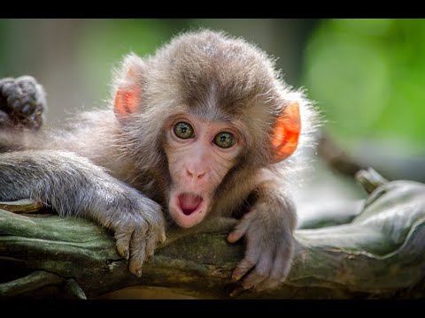 far cry 5 with a graphics tablet