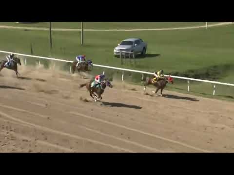 SINT FLORIDA 230420 c04 - 1° PANTOMINAS