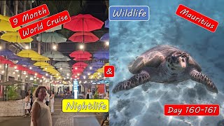 Mauritius island tour – Overnight Stop, Nightlife and Turtle Snorkel