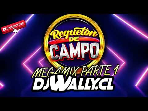 MIX REGGAETON DE CAMPO DJ WALLY CHILE PARTE 1 (ULTRA BAILABLE)