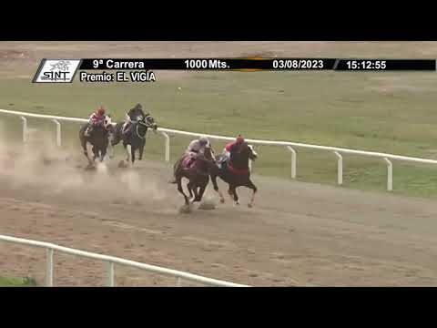 SINT COLONIA 230803 c09 - 1° CABECITADEALGODON