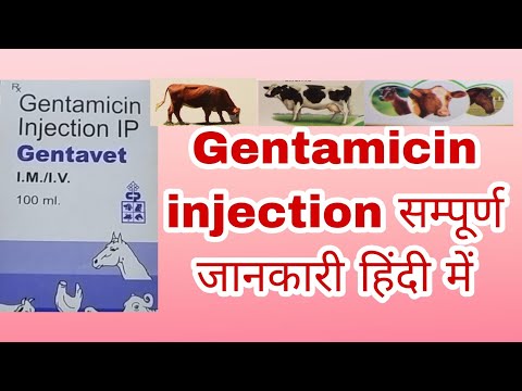 Gentavet - gentamicin injection, 40mg