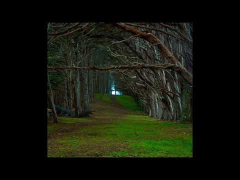 RILASSAMENTO GUIDATO, training autogeno , autoipnosi per rilassarsi e ritrovare se stessi.