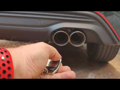 asr with miltek exaust puma st