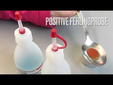 5. Klasse NuT: Fehlingprobe bei Nahrungsmitteln