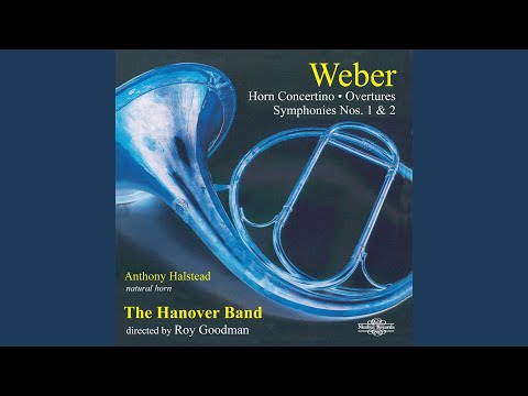 Invitation to the Dance, Op. 65