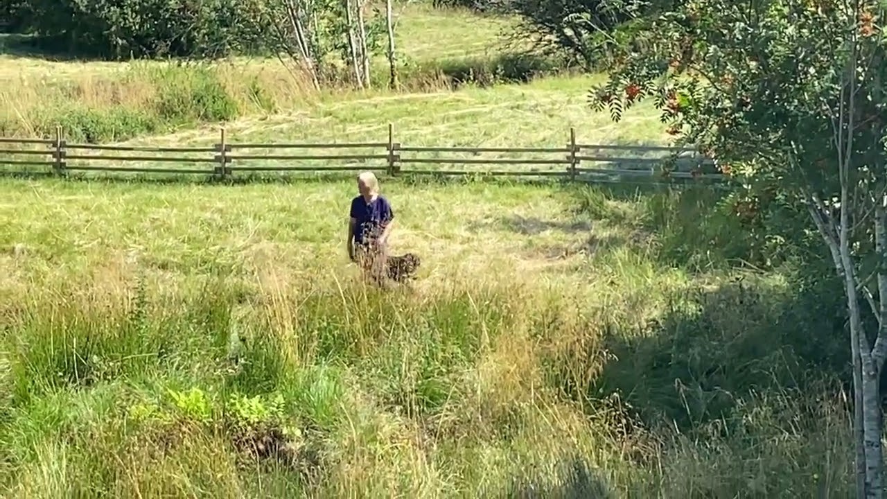 Valpetrening: Terrengskifter med Jamsis del 2