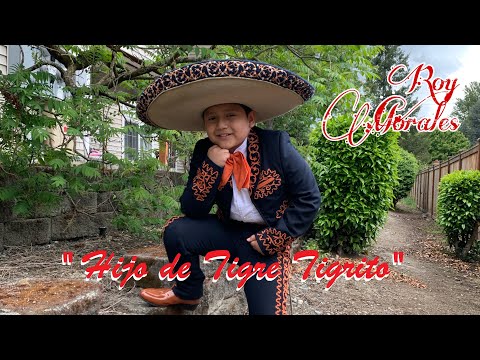 HIJO DE TIGRE TIGRITO-ROY-- MARIACHI CONQUISTADORES DE MEXICO (253)3241769