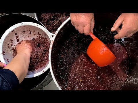 Making Homemade Wine! Part 2 | Filtering & Fermentation Stage