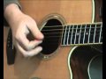 Twin Picks Acoustic Soft plectrum demo