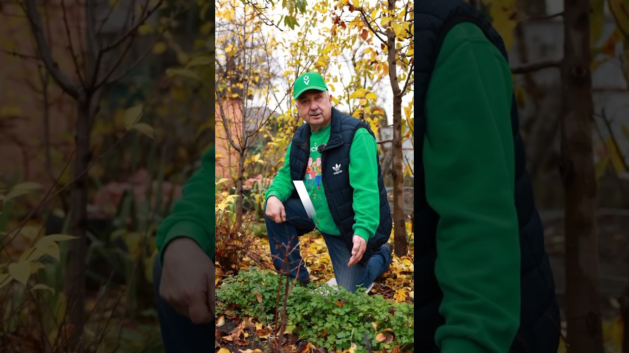 Никогда не сажайте эти овощи рядом! Будут плохо расти, а урожая кот наплакал