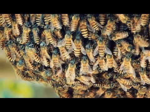 Introduction to VMware Cloud Management Solutions