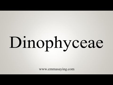 How To Say Dinophyceae