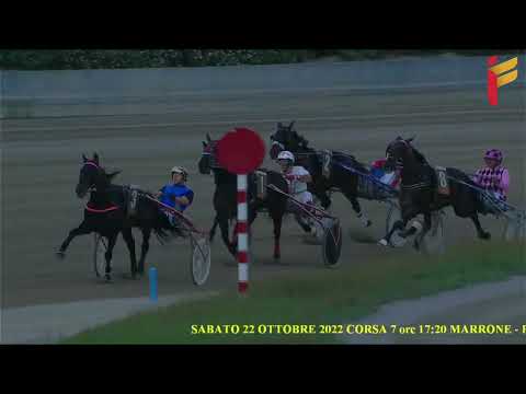 VII Corsa del 22 ottobre 2022 - 5 Anni ed oltre - Metri 1600