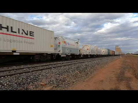 NR42 & NR98 Bogan Gate NSW.   Sun 26th Feb 2023