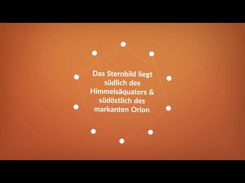 BZ erklärt: die Hundstage