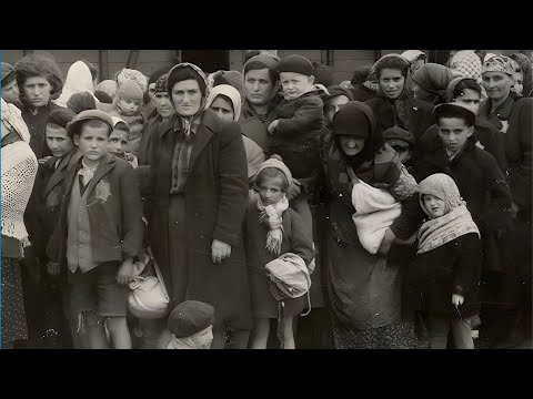 The Auschwitz Album- Visual Evidence of the Process Leading to the Mass Murder at Auschwitz-Birkenau