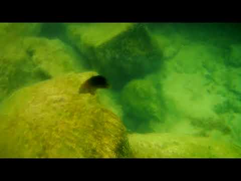 2021 1201 112841 080