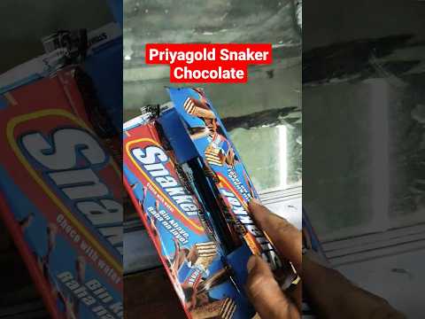 Priyagold Snakker Chocolate 5 rupee unit| #confectionary #bikaner #groceries #chocolate#grocery