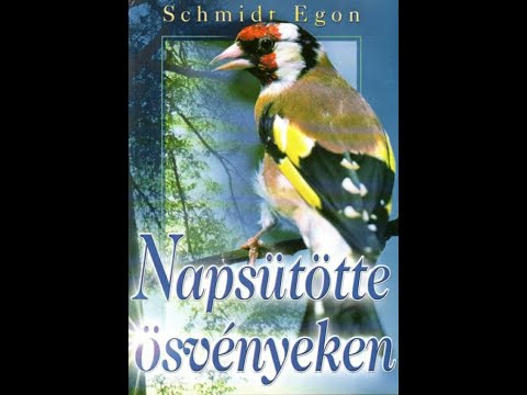 Schmidt Egon: Napsütötte ösvényeken 21.