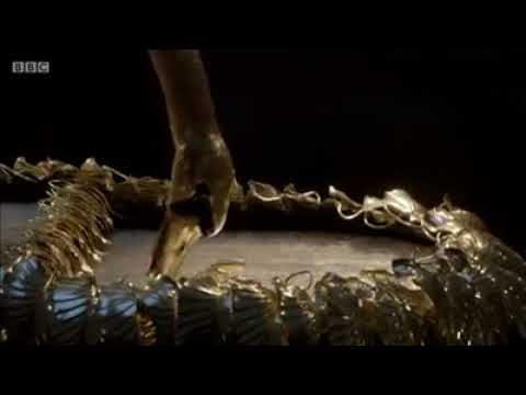 The Silver Swan automaton in the Bowes Museum England