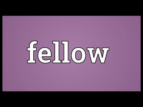 Fellow Meaning