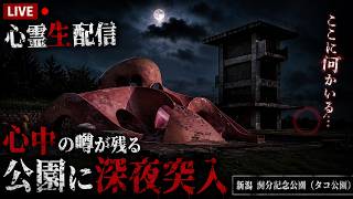 【心霊生配信】心中の噂が残る公園に深夜突入｜新潟・関分記念公園（タコ公園）