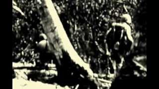 One Day Remains - Prey on the Weak