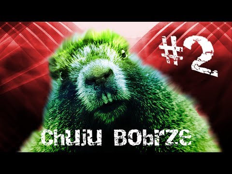 Top 5 remixów: TY CH*JU BOBRZE! #2