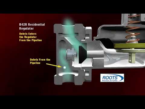 ROOTS Regulators B42 Animation