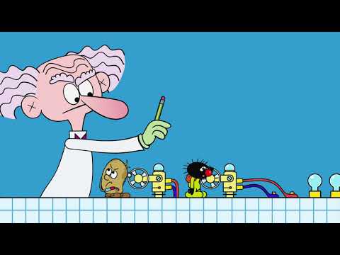 LITTLE FURRY - EP38 - The crazy lab