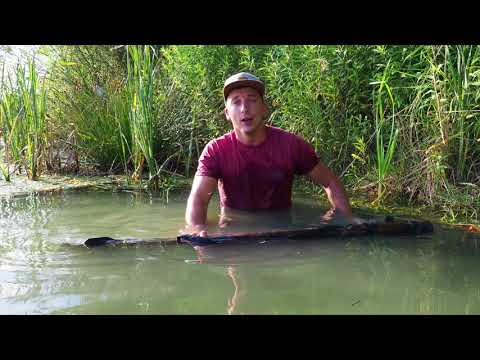 *** Bait Fabrik TV - Franz fängt Ghost Lederkarpfen ***