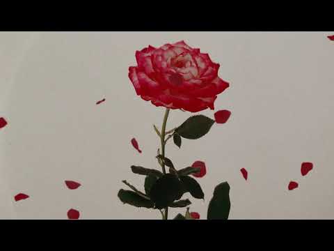 Back On Earth - Until Tonight (Acoustic) (Official Visualizer)