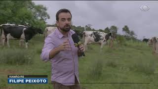 Miniatura do vídeo