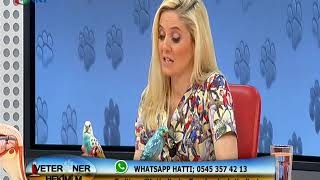 Veteriner Hekimi'm / Gözde Çetin Kasap / 10 Ocak 2018