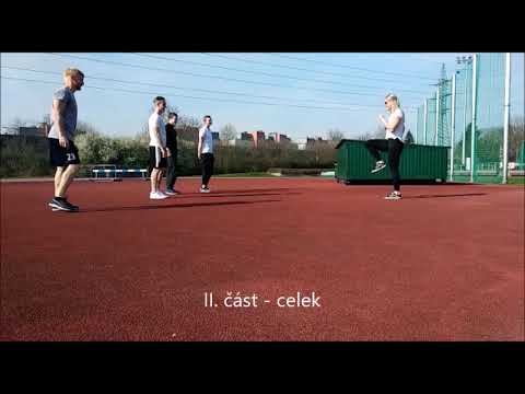 Imitační učení   didaktika TV Rašín, Stoklasová, Bébr, Capouch, Matejzík   film