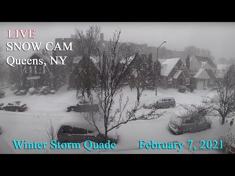 LIVE Snow Cam - Winter Storm Quade, Queens NYC 02.07.2021