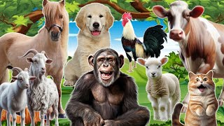 Download Lagu Cute Little Animals: Monkey, Dog, Cat, Cow, Horse, Sheep, Goat,Chicken Thumbnail