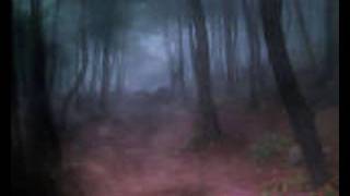 Forest Of Fog...Der Letzte Triumph
